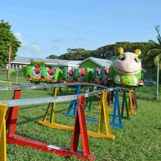 Lovely Mini Ant Track Train