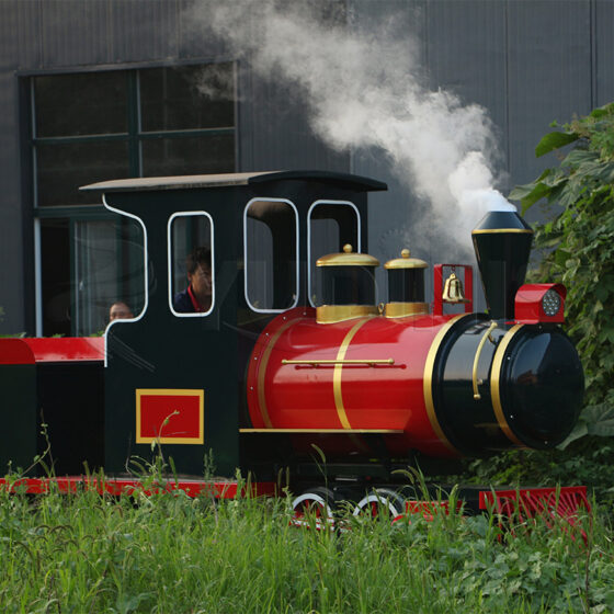 Medium Track Sightseeing Train