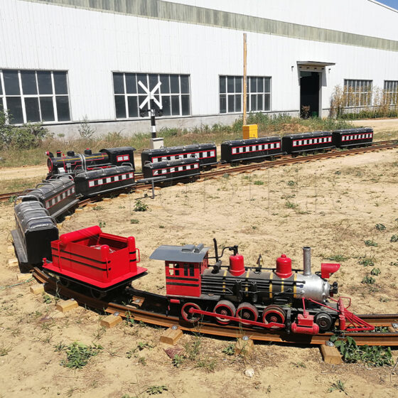 Mini Simulated Steam Track Train