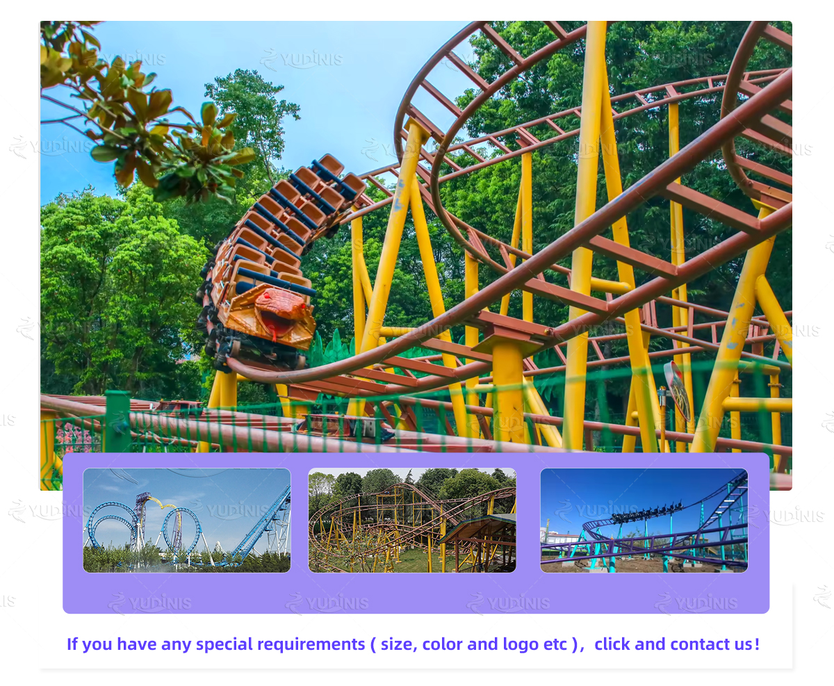 Roller Coaster for Sale -  - 4